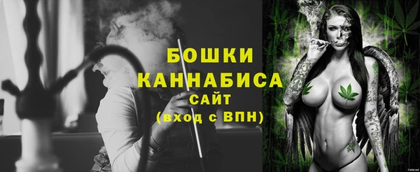 прущие грибы Осинники