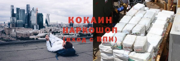 прущие грибы Осинники