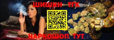 СК Сланцы