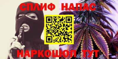 СК Сланцы