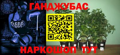 прущая мука Славгород