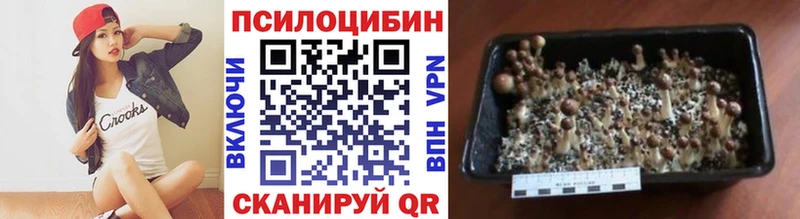 Псилоцибиновые грибы прущие грибы Моршанск