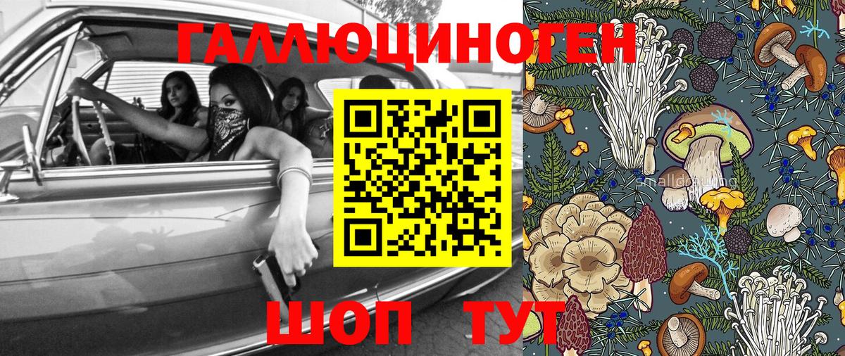 Псилоцибиновые грибы Magic Shrooms  Псилоцибиновые грибы мухоморы  Вход с VPN  Моршанск 