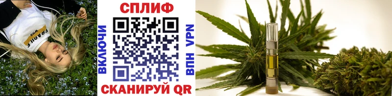 даркнет состав  Моршанск  Канабис White Widow 